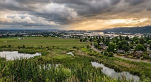 District 2 Councilors Tour East Columbia: What the Proposed Wetland Buffers Mean for Your Property