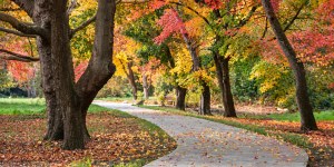October 14 ECNA General Meeting: Neighborhood Updates and a Fall Soup Exchange
